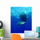 Oceanic Whitetip Shark Circling Wall Decal