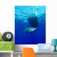 Oceanic Whitetip Shark Circling Wall Decal