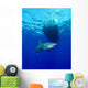 Oceanic Whitetip Shark Circling Wall Decal