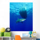 Oceanic Whitetip Shark Circling Wall Decal