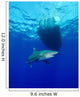 Oceanic Whitetip Shark Circling Wall Decal