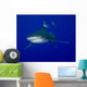 Oceanic Whitetip Shark Swimming Wall Decal
