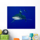 Oceanic Whitetip Shark Swimming Wall Decal