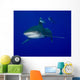 Oceanic Whitetip Shark Swimming Wall Decal