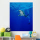 Diving with Oceanic Whitetip Wall Decal