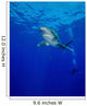 Diving with Oceanic Whitetip Wall Decal