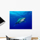 Oceanic Whitetip Shark Cat Wall Decal Design 9