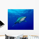 Oceanic Whitetip Shark Cat Wall Decal Design 9