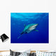 Oceanic Whitetip Shark Cat Wall Decal Design 9