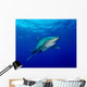 Oceanic Whitetip Shark Cat Wall Decal Design 9