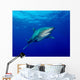 Oceanic Whitetip Shark Cat Wall Decal Design 9