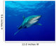 Oceanic Whitetip Shark Cat Wall Decal Design 9