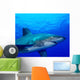 Close-up Side Oceanic Whitetip Wall Decal