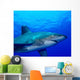 Close-up Side Oceanic Whitetip Wall Decal