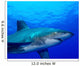 Close-up Side Oceanic Whitetip Wall Decal