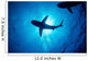 Silhouette Oceanic Whitetip Shark Wall Decal