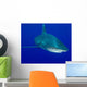 Oceanic Whitetip Shark Cat Wall Decal Design 8