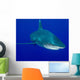 Oceanic Whitetip Shark Cat Wall Decal Design 8