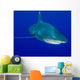 Oceanic Whitetip Shark Cat Wall Decal Design 8