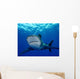 Front Oceanic Whitetip Shark Wall Decal