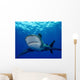 Front Oceanic Whitetip Shark Wall Decal