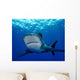 Front Oceanic Whitetip Shark Wall Decal