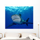 Front Oceanic Whitetip Shark Wall Decal