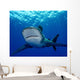 Front Oceanic Whitetip Shark Wall Decal