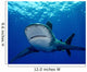 Front Oceanic Whitetip Shark Wall Decal