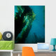 Kelp Forest with School Wall Decal