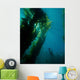 Kelp Forest with School Wall Decal