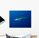 Caribbean Reef Shark West Wall Decal