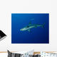 Caribbean Reef Shark West Wall Decal