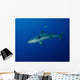 Caribbean Reef Shark West Wall Decal