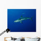 Caribbean Reef Shark West Wall Decal
