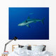Caribbean Reef Shark West Wall Decal