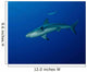 Caribbean Reef Shark West Wall Decal