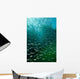 School Pacific Sardines Kelp Wall Decal