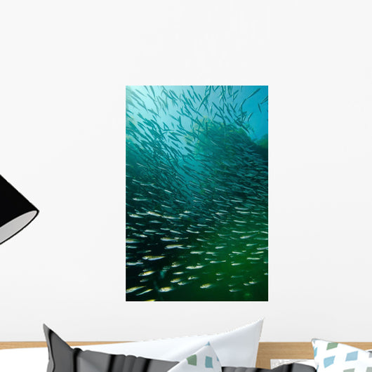 School Pacific Sardines Kelp Wall Decal