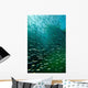 School Pacific Sardines Kelp Wall Decal