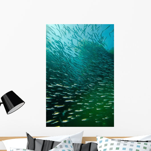 School Pacific Sardines Kelp Wall Decal