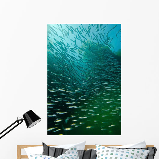 School Pacific Sardines Kelp Wall Decal