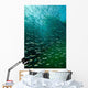 School Pacific Sardines Kelp Wall Decal