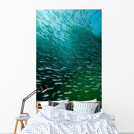 School Pacific Sardines Kelp Wall Decal