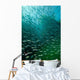 School Pacific Sardines Kelp Wall Decal