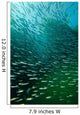 School Pacific Sardines Kelp Wall Decal