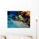 Hawksbill Sea Turtle Resting Wall Decal