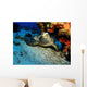 Hawksbill Sea Turtle Resting Wall Decal