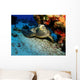 Hawksbill Sea Turtle Resting Wall Decal