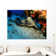 Hawksbill Sea Turtle Resting Wall Decal